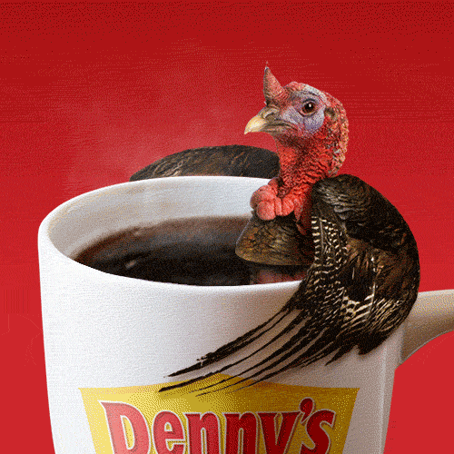 The Ultimate Guide to Turkey Porn GIFs